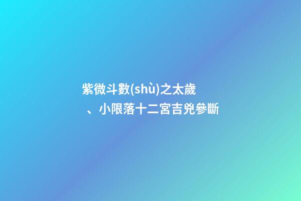 紫微斗數(shù)之太歲、小限落十二宮吉兇參斷